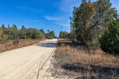 0 NE 127th Ct unit 796113, Williston, FL 32696 - photo 3