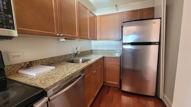 474 N Lake Shore Dr unit 2509, Chicago, IL 60611 - photo 3