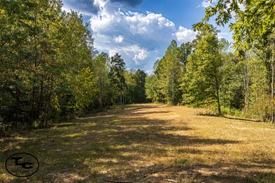 0 Tennessee 125, Henderson, TN 38340 - photo 7