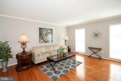 4820 King Solomon Dr, Annandale, VA 22003 - photo 3