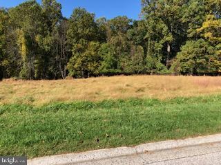 4011 Cloverland Dr, Phoenix, MD 21131 - photo 2