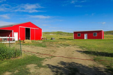 Barn & shed