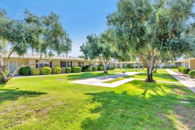 13619 N 111th Ave unit 113, Sun City, AZ 85351 - photo 3