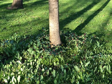 609 Violet Ln, Batavia, IL 60510 - photo 2