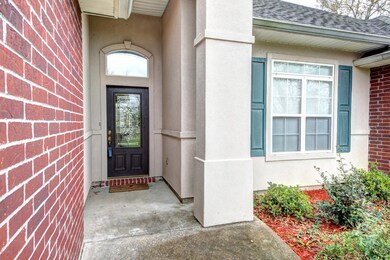 205 Acorn-5