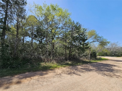 0 Park View Dr unit 17477508, Hempstead, TX 77445 - photo 3