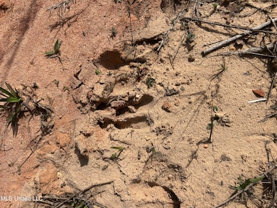 00 Jordan Hill Rd, Carson, MS 39427 - photo 2