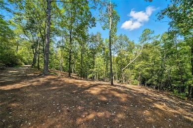 0 Debord Dr unit 7641111, Waleska, GA 30183 - photo 6