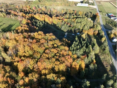 234 Ladner Rd, Easton, ME 04740 - photo 4