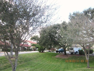 Garden View from the Deck