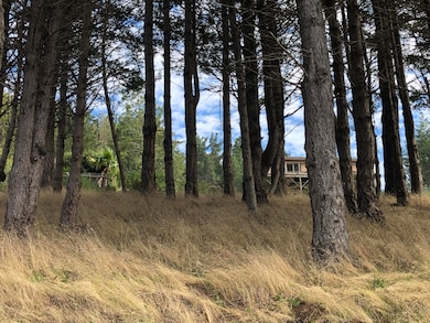 134 Albatross Rd, Whitethorn, CA 95589 - photo 3