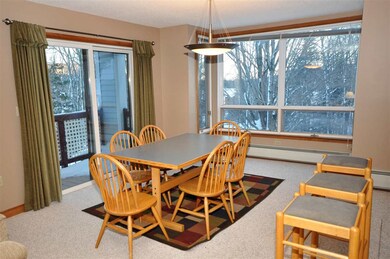 8 Northbrook Village Rd unit C21, Dover, VT 05356 - photo 5