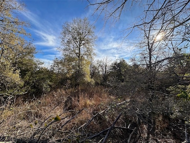 243 Hanauma Dr, Bastrop, TX 78602 - photo 7