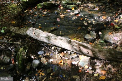 0 Back Rd unit VASH2007088, Toms Brook, VA 22660 - photo 2