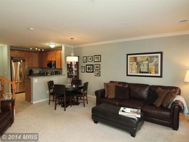 42593 Cardinal Trace Terrace unit 10E, Ashburn, VA 20148 - photo 3