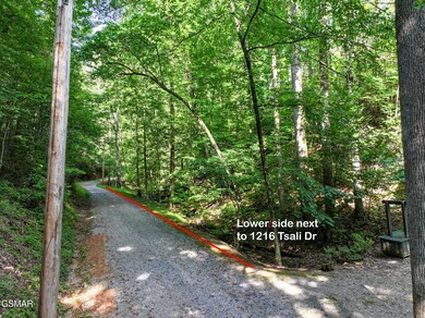 199 Tsali Way, Sevierville, TN 37876 - photo 5