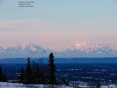 Hayes cabin McHoes (6)