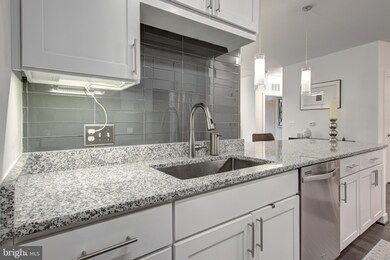 Enclave unit 206, Fairfax, VA 22031 - photo 5