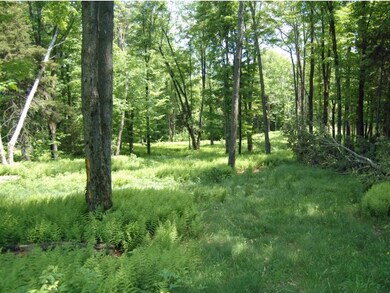 Lot 18 View