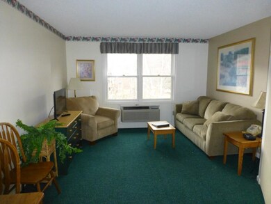 147 Deer Park Dr unit 147-A, Woodstock, NH 03262 - photo 5