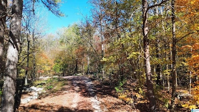 0 Mill Creek Rd unit 21437437, Warrior, AL 35180 - photo 3