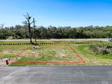 4792 Hermes Way, New Port Richey, FL 34652 - photo 5