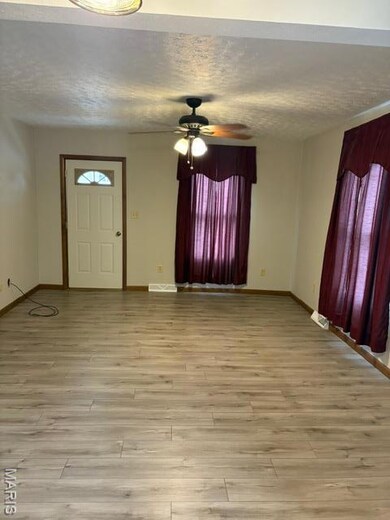 99 W Elm St, Aviston, IL 62216 - photo 4