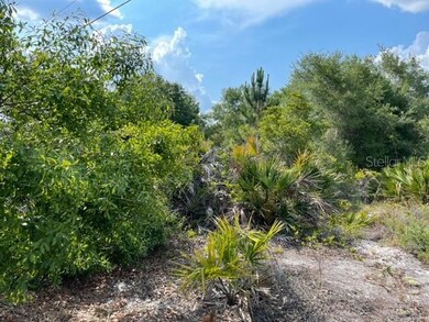 NATURAL FLORIDA VEGETATION