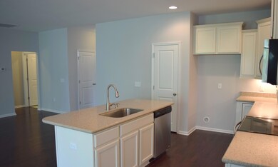 Stainless Steel Appliances