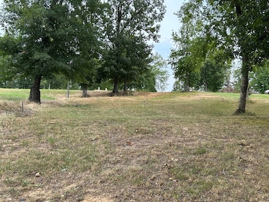 220 Gardenia Dr, Ninety Six, SC 29666 - photo 3