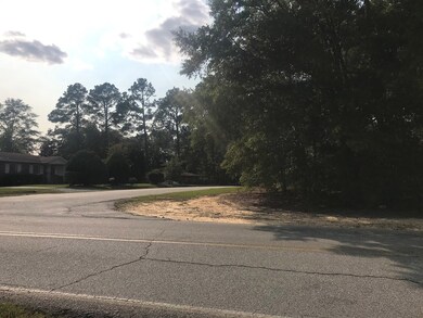 0 Shirley Dr, Vidalia, GA 30474 - photo 3