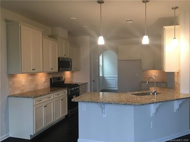 186 Alden Oaks St unit LOT 15, Clover, SC 29710 - photo 4