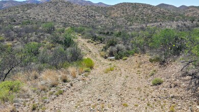 Roadway through the 20 acre site