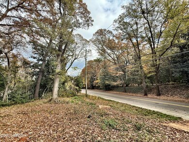 0 S Lee St, Forsyth, GA 31029 - photo 4