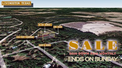 Joe Myers Rd, Livingston, TX 77351 - photo 4