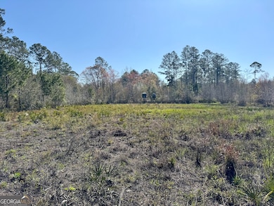 5790 Wooddell Dr, Waycross, GA 31503 - photo 6