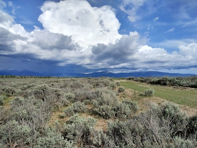 0 Palisades Ct N, San Luis, CO 81152 - photo 3