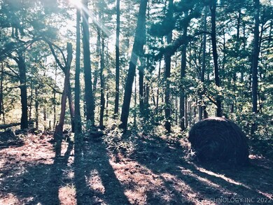 0 N 593 Rd unit 2036395, Tahlequah, OK 74464 - photo 7