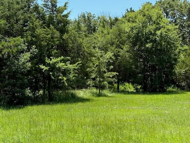 52 Coyote Creek Dr, Gordonville, TX 76245 - photo 3