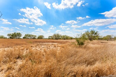 3041 Farm To Market Road 1333, Poteet, TX 78065 - photo 4