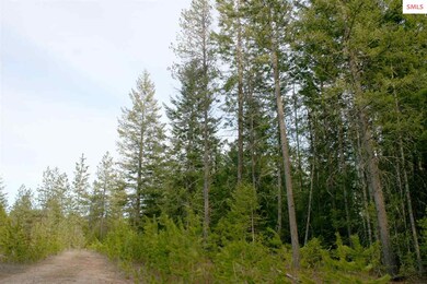 NNK B6 Northern Sky Rd, Athol, ID 83801 - photo 7