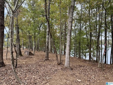 0 Dancing Waters Way, Wedowee, AL 36278 - photo 5