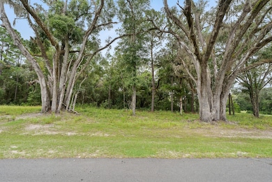 17287 SW 11 Ct, Newberry, FL 32669 - photo 4