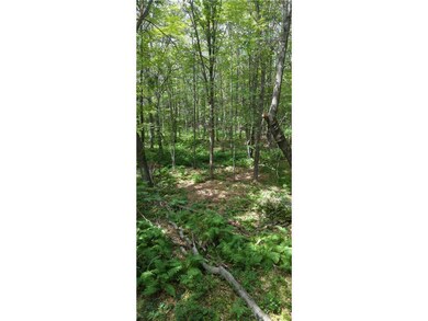 22803 Paulich Rd, Lewis, WI 54837 - photo 5