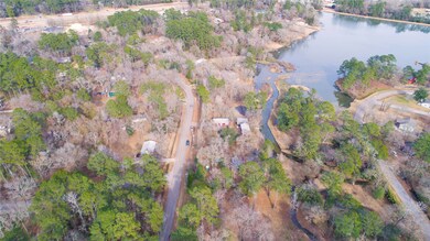 Aerial shot of Lake Conroe Forest.