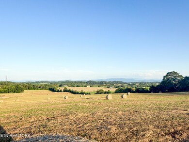 0 Lot 13 Summerset Dr unit 1307770, Talbott, TN 37877 - photo 3