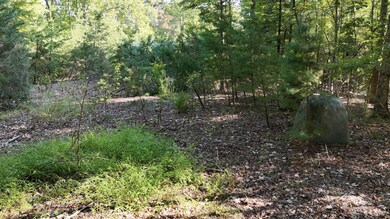 113 Foley Rd, Stuart, VA 24171 - photo 6