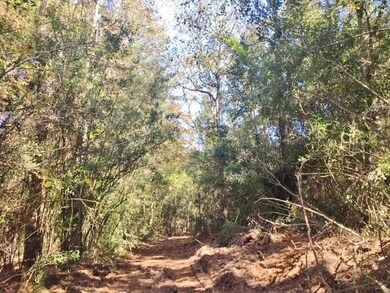 000 Candy Ln, McComb, MS 39648 - photo 6