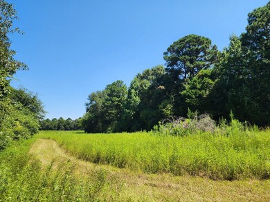 13465 Cedar Springs Rd, Blakely, GA 39823 - photo 3