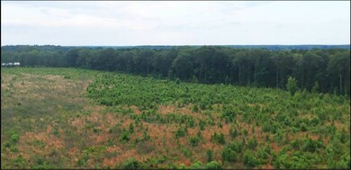 0 Hammond Rd unit 11549597, Monticello, MS 39654 - photo 2